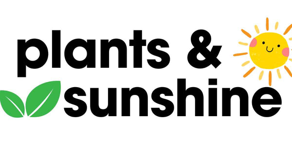 Plants and Sunshine